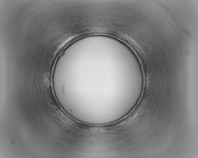 X0000115431212200911251218