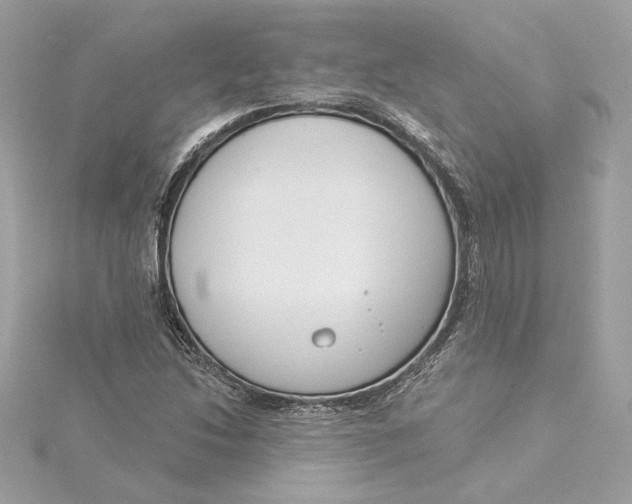 X0000115431214200911251218