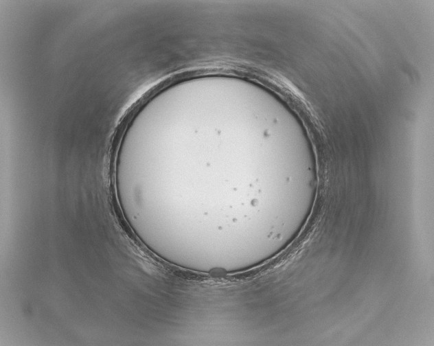 X0000115431216200911251218