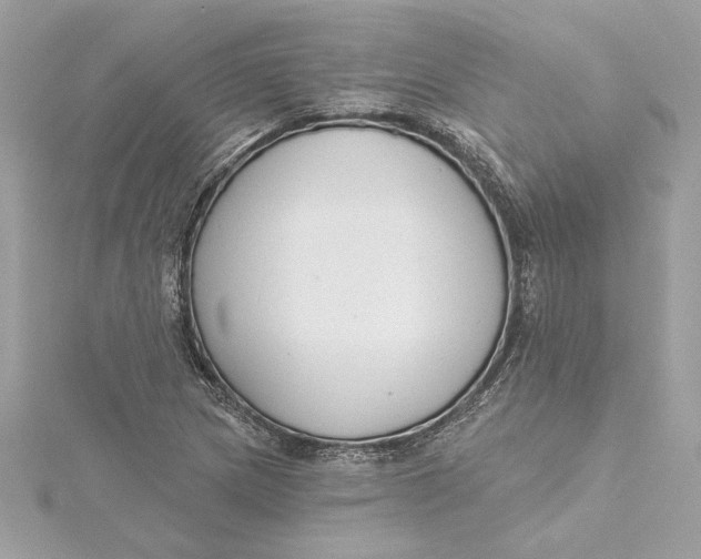 X0000115431217200911251218