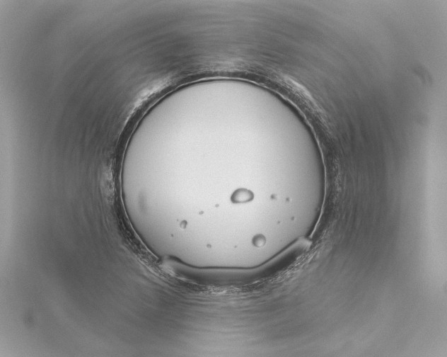 X0000115431218200911251218