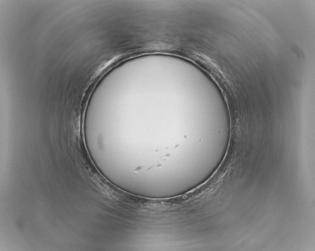 X0000115431220200911251219