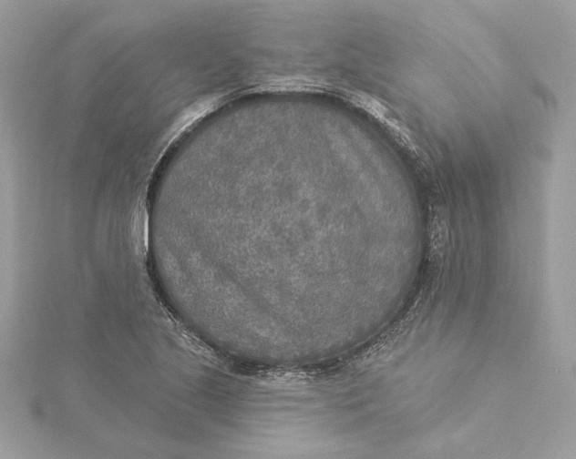 X0000115431221200911251219