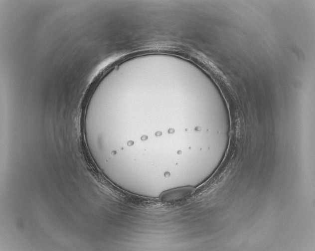 X0000115431222200911251219