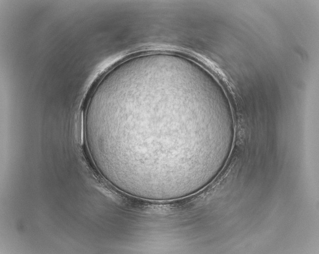 X0000115431223200911251219