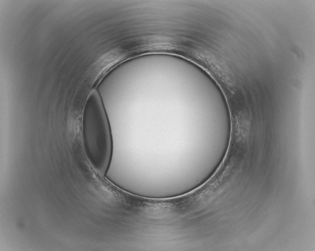 X0000115431225200911251219