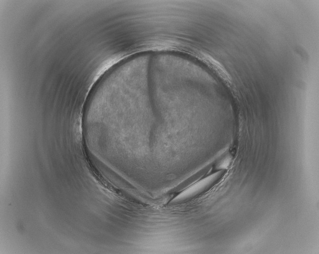 X0000115431226200911251219