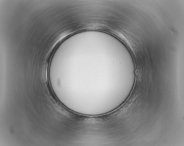 X0000115431227200911251219