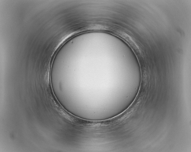 X0000115431228200911251219