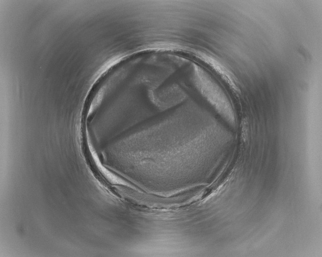 X0000115431229200911251219