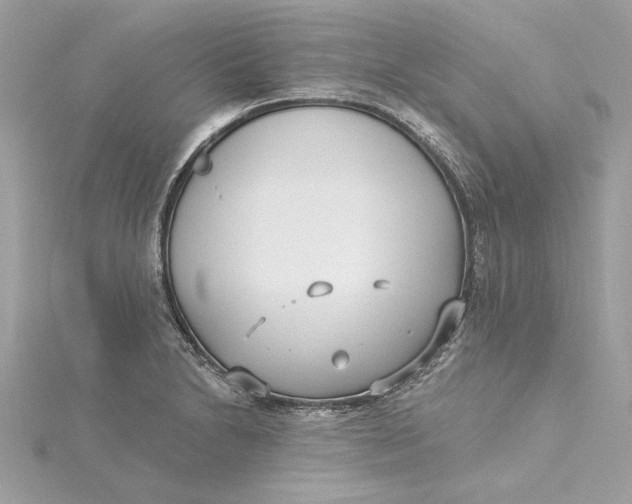 X0000115431230200911251219