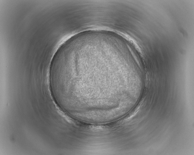 X0000115431231200911251219