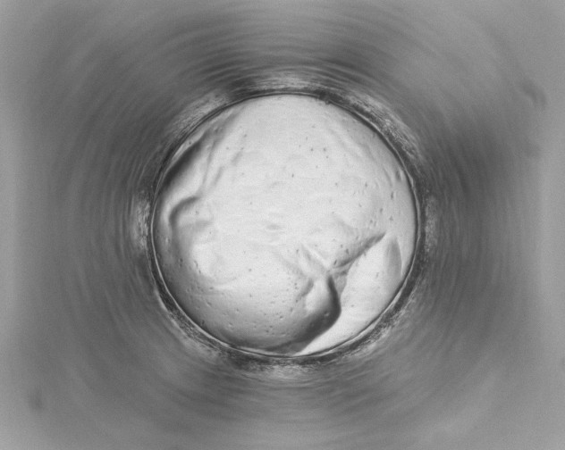 X0000115431233200911251219