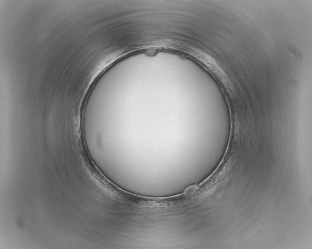 X0000115431234200911251219