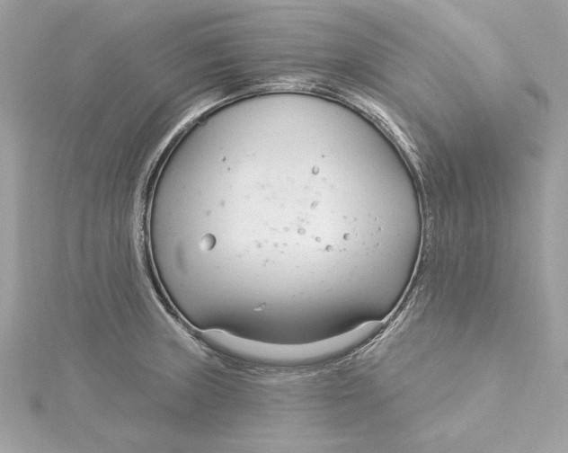 X0000115431235200911251219