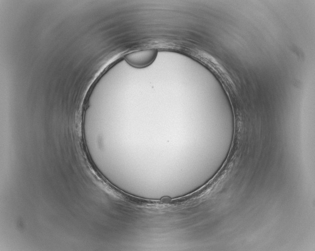 X0000115431236200911251219