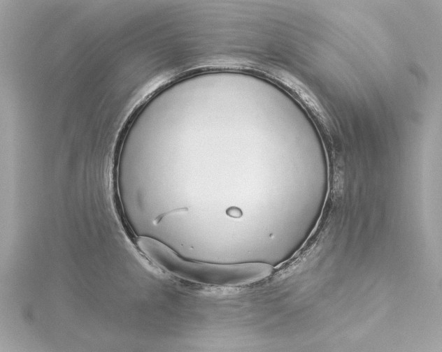 X0000115431237200911251219