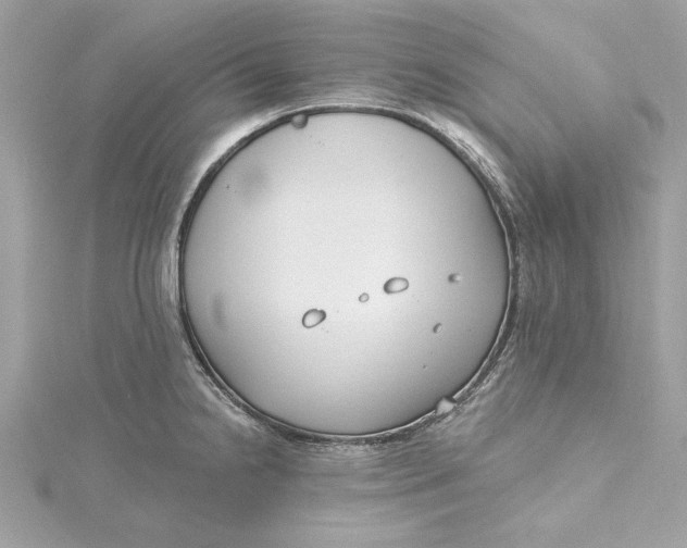 X0000115431238200911251219