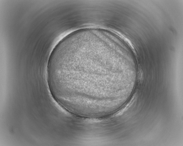 X0000115431239200911251219