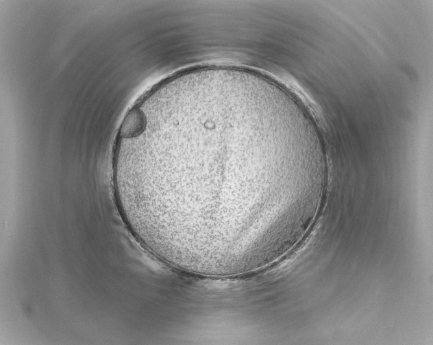 X0000115431240200911251219