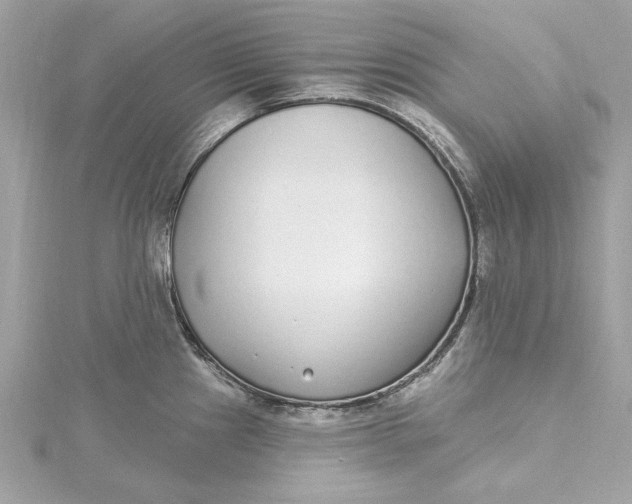 X0000115431241200911251219