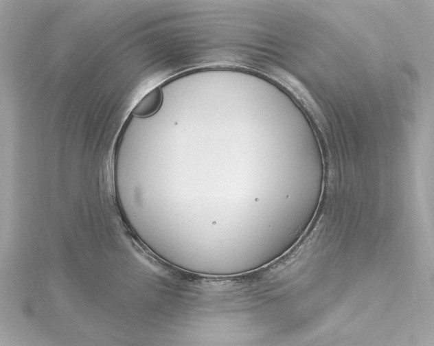 X0000115431242200911251219