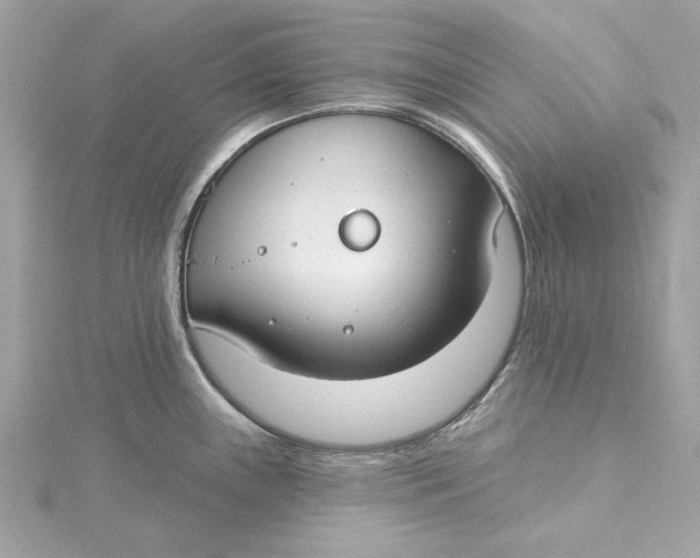 X0000115431243200911251219