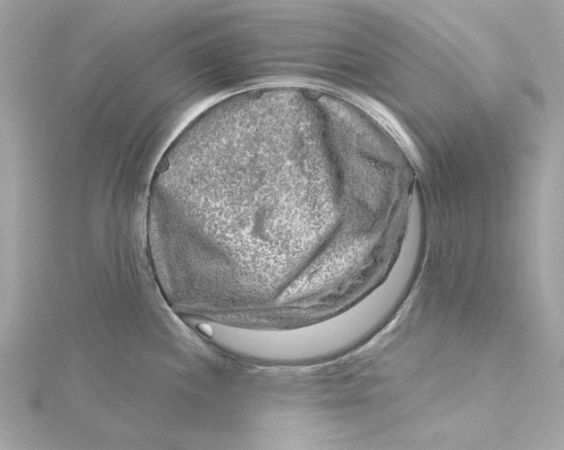 X0000115431244200911251219