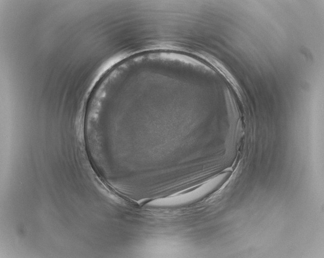 X0000115431246200911251219