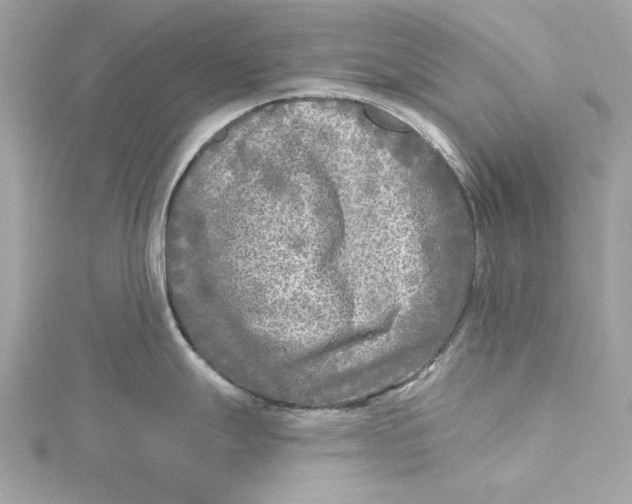 X0000115431247200911251219