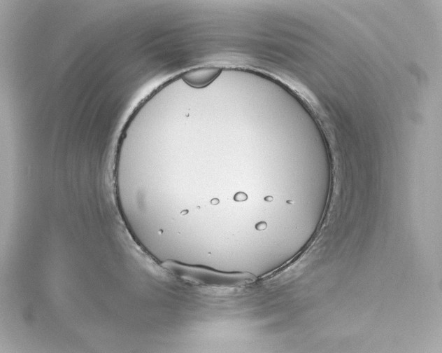 X0000115431248200911251219