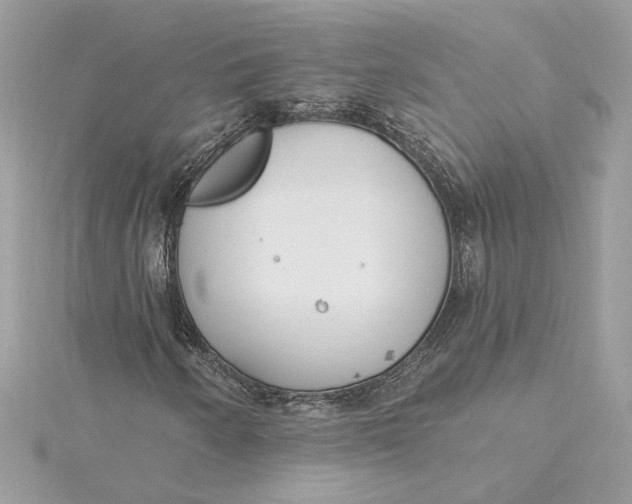 X0000115431250200911251218