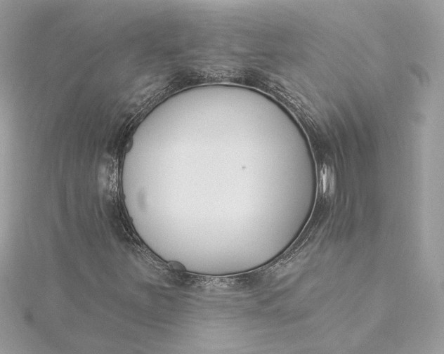 X0000115431251200911251218