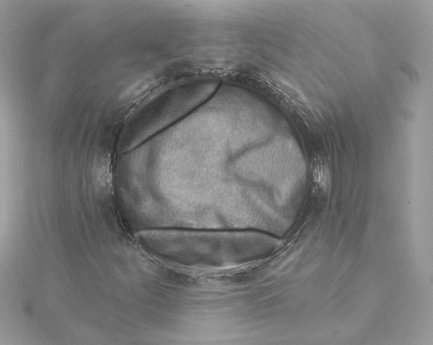 X0000115431252200911251218