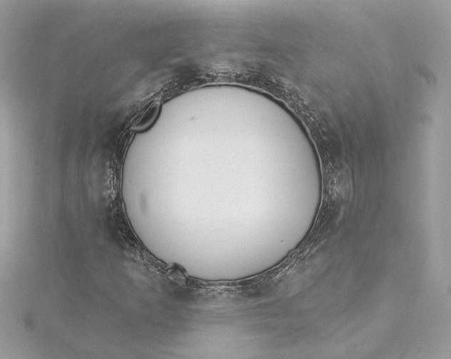 X0000115431253200911251218