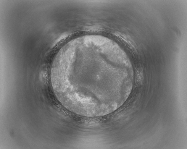 X0000115431254200911251218