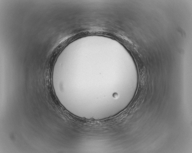 X0000115431255200911251218