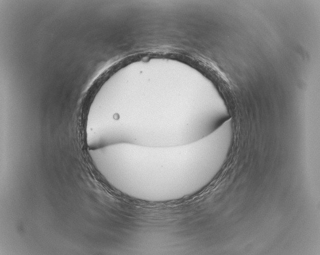 X0000115431256200911251218