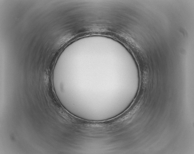 X0000115431257200911251218