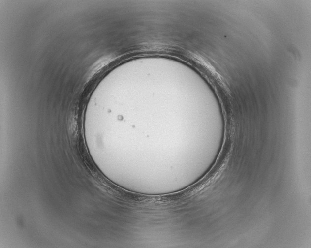 X0000115431259200911251218