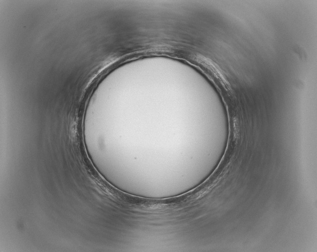 X0000115431260200911251218