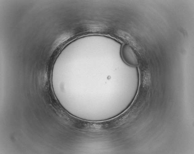 X0000115431261200911251218