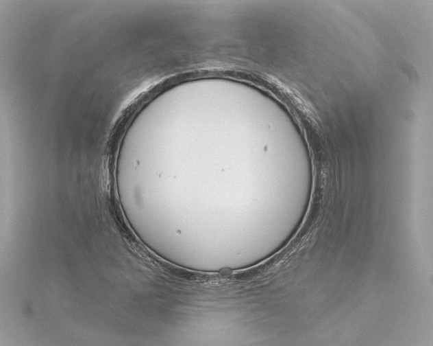 X0000115431262200911251218