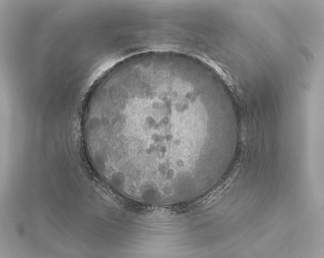 X0000115431263200911251218