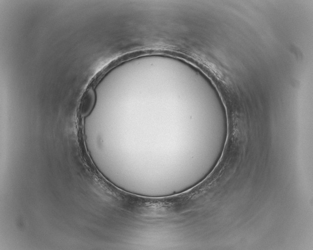 X0000115431264200911251218