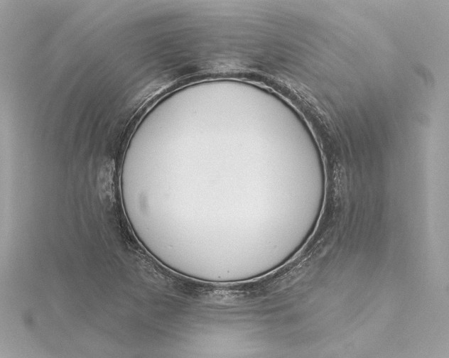 X0000115431265200911251218