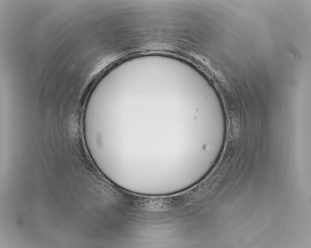 X0000115431266200911251218