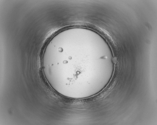 X0000115431267200911251218