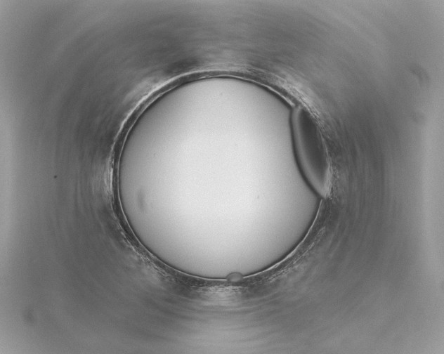 X0000115431268200911251218