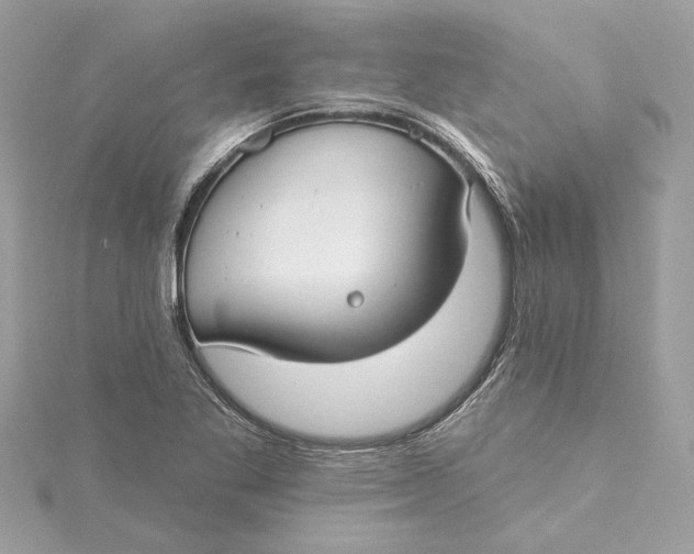 X0000115431269200911251218